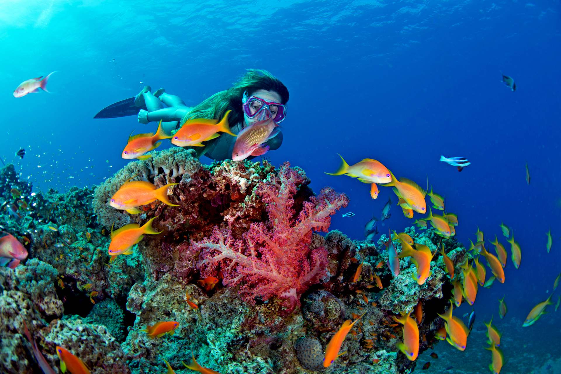 Aqaba - experiențe culturale și de aventură autentice în Iordania